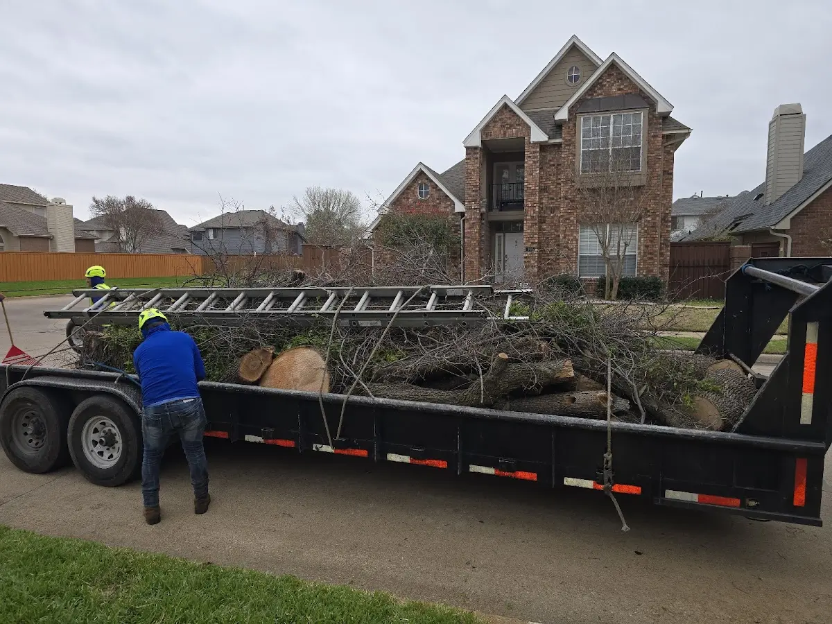 Expert Tree Fertilization with proper safety equipment in Kewanee